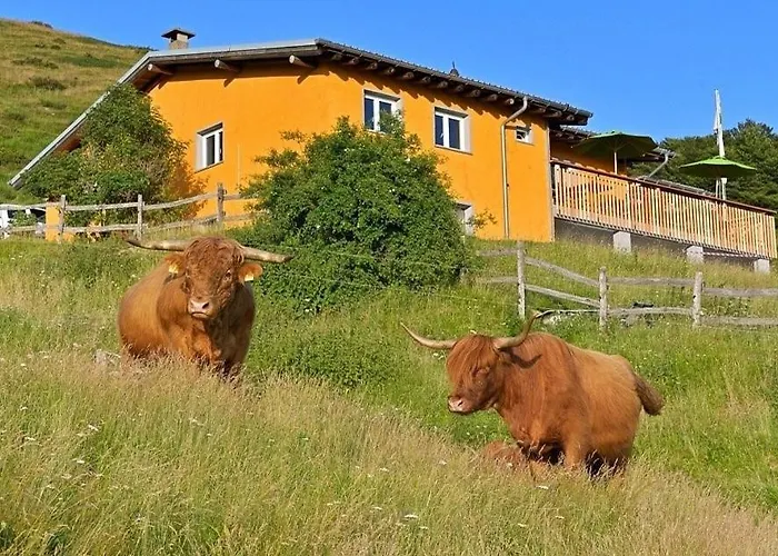 Alphuette Mit Halbpension Lodge *