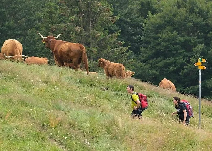 Lodge Alphuette Mit Halbpension