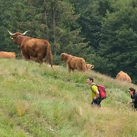 山林小屋 Alphuette Mit Halbpension